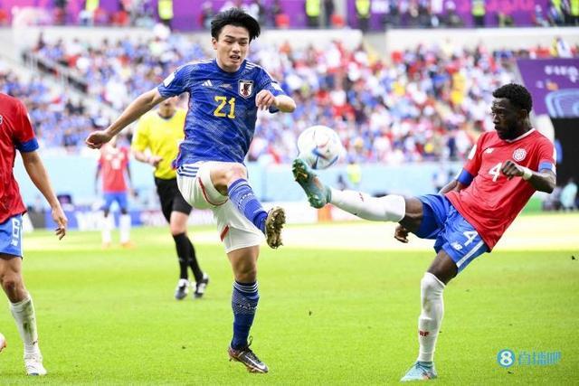 清晰地展示 清晰地展示